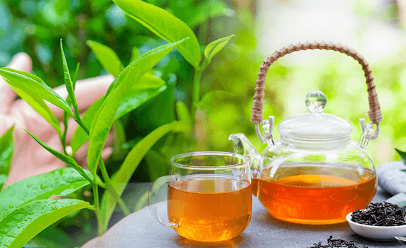 Tea Exporters